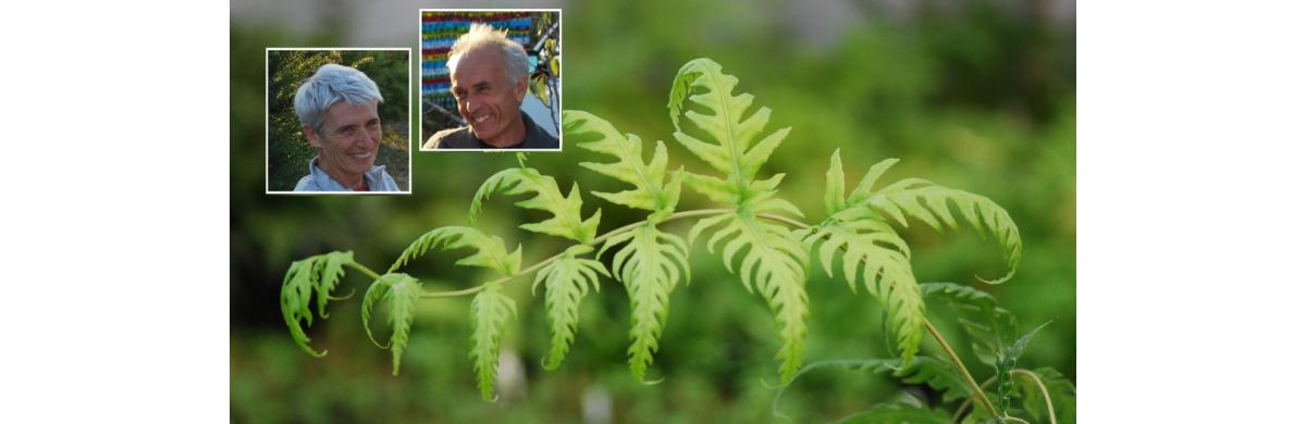 Anne Marie et Pierre Jean, les jardins d'écoute s'il pleut.