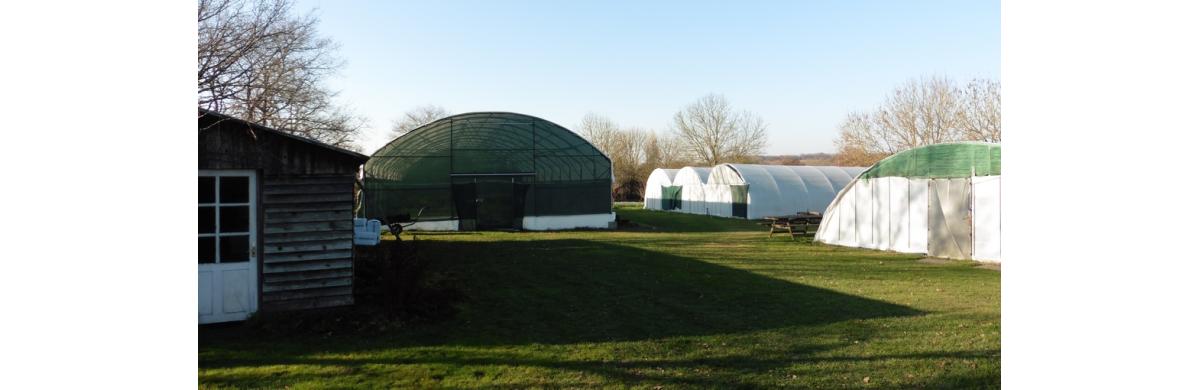 Les tunnels de production des jardins d'écoute s'il pleut